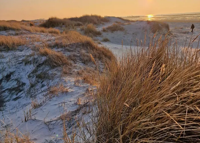 Appartement Haus-utlande-whg-20